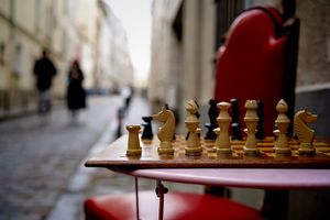 Le sens du jeu : cultures et pratiques ludiques en France (1960-2000) par Vincent Berry