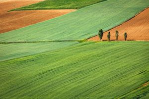 Jeux de plateau pour l’agriculture et le paysage – Penser, concevoir, animer, évaluer, diffuser