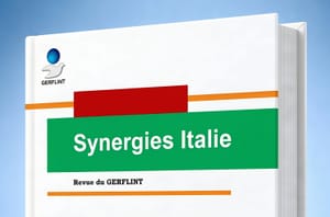 « Jouer le jeu » : la revue Synergies Italie consacre un dossier sur le discours ludique